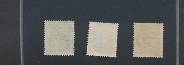 Aur Values Perf. 14 x 13.5   20 aur Blue   NH Mint. Very fine.  1876-1901 - Image 2