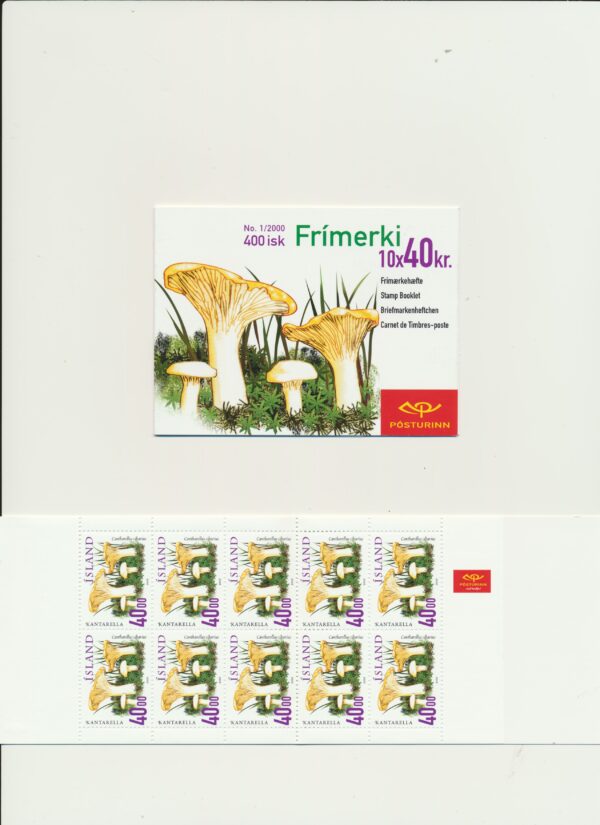 Iceland-booklet-issued- 2000-Nh-Mint. Facit H-48