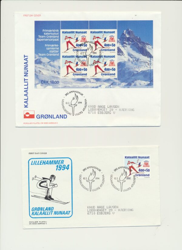 Greenland FDCs issued  1994 on FDC covers.  with  Blocks. - Image 2